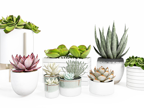 Modern plants potted free