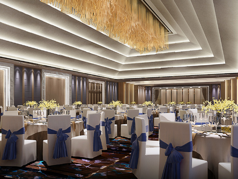 Modern Hotel Ballroom