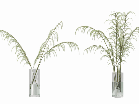 Modern Aquatic Planting Vase Flower Arrange