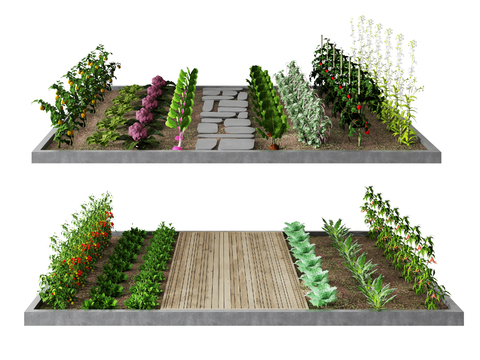 Modern Vegetable Garden