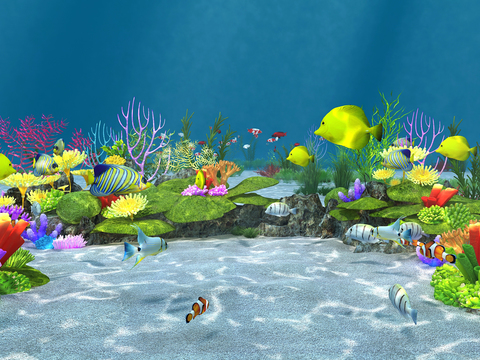 Modern Underwater World Aquarium