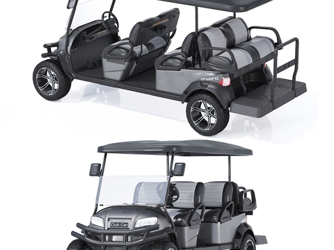 Sightseeing car Golf cart