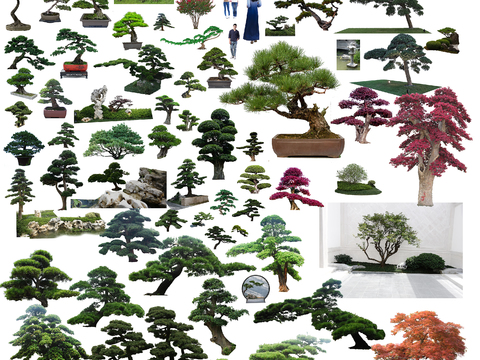 modern green trees potted psd