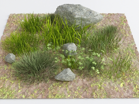 grassland vegetation stone