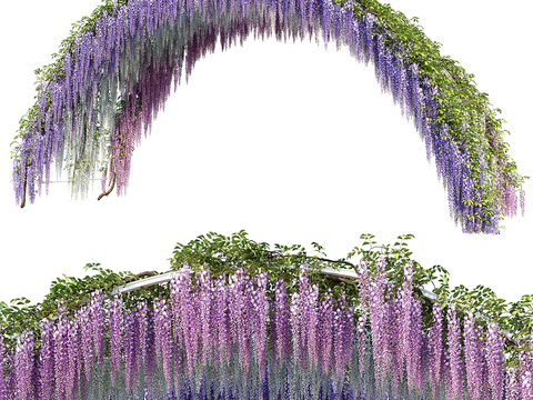 Wisteria Arch