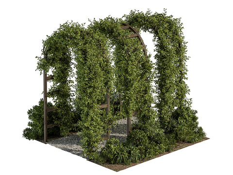 Modern Vine Plant Arch