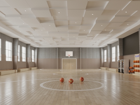 Modern Indoor Basketball Gymnasium