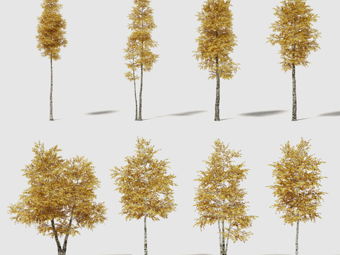 Modern Yellow Landscape Tree