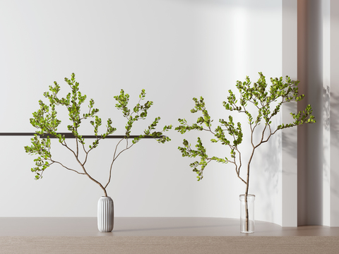 Modern iron line hydroponic potted plant