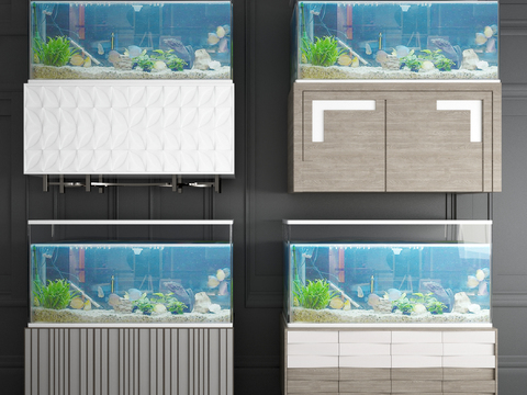 Modern aquarium aquarium combination