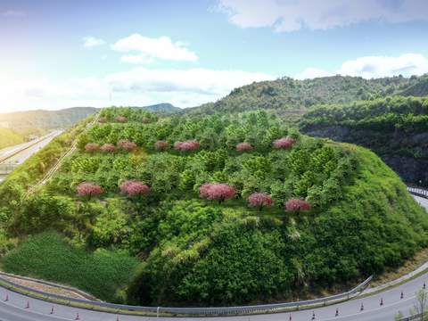 hillside mountain retaining wall vegetation psd