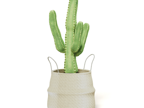 Modern Cactus Green Plant Potted Plant Free