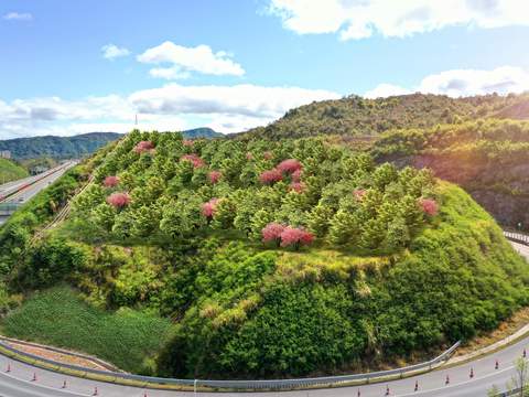 hillside mountain retaining wall vegetation psd