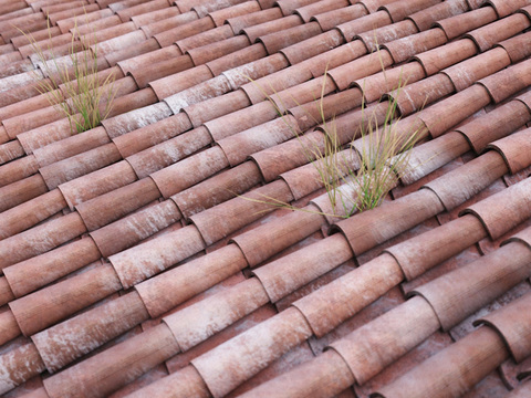 Red roof tiles