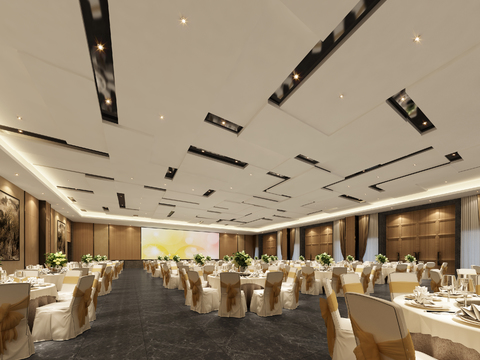 Modern Hotel Ballroom