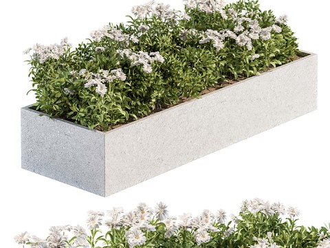 Modern flower bed, flower bed, potted plant