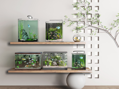 Modern fish tank aquarium