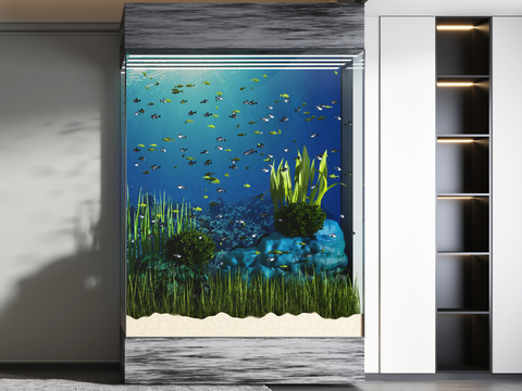 Modern fish tank