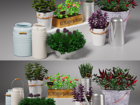 Modern flowers and vegetables potted