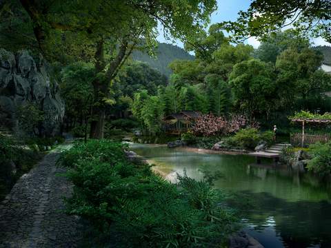 modern wetland forest jungle landscape psd