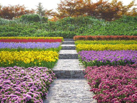 flower field flower bed tulip flower rose