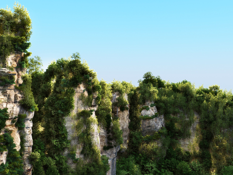 Modern Cliff Forest Landscape