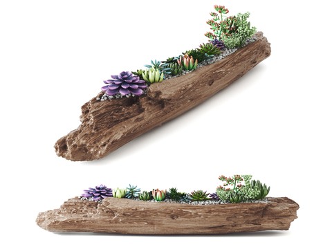 Modern succulent wood root carving sketch