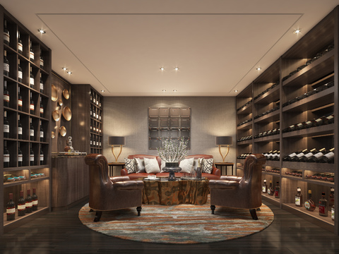 Modern Wine Room Wine Cellar