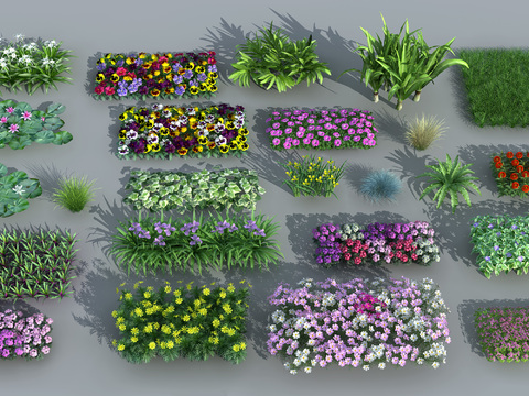 Modern flowers and shrubs