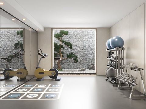 Villa Underground Gym