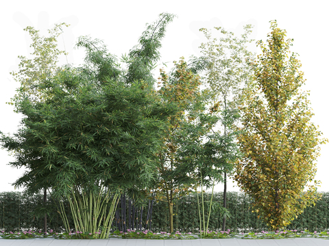 Modern Bamboo Grove Flower Trough