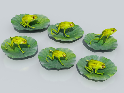 Frog lotus leaf