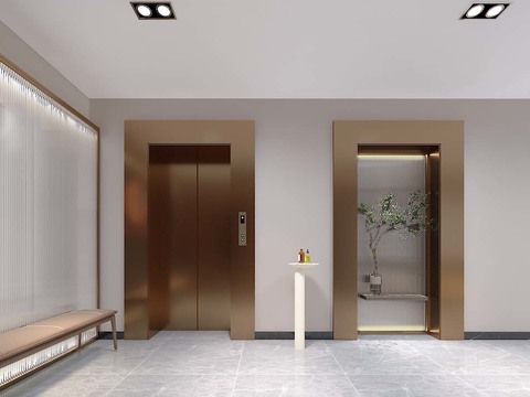 Modern Affordable Luxury Style Elevator Free