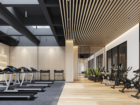 Modern Gym