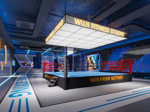 Modern Gym Boxing Zone