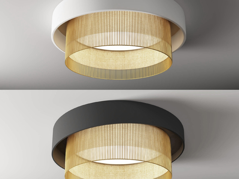 Modern Ceiling Light Free