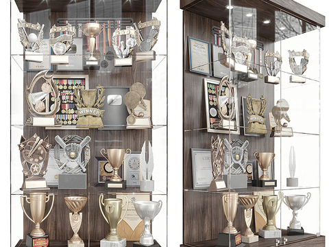 Modern trophy medal display cabinet