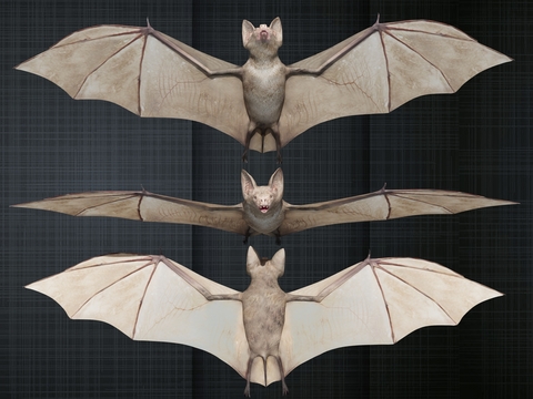 modern bat