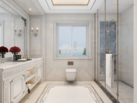 French Affordable Luxury Style Bathroom Toilet Free