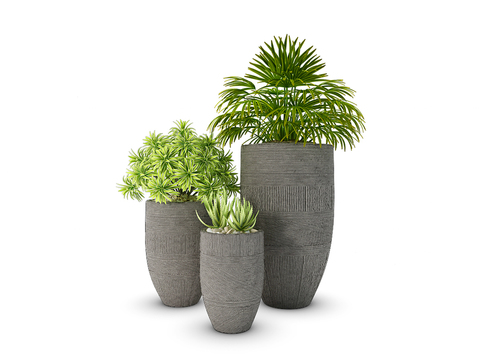 Modern plants potted free