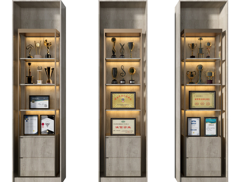 Modern trophy decoration cabinet