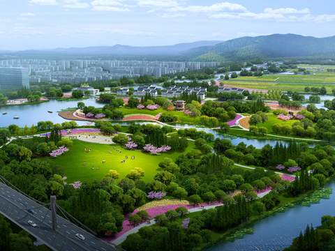 modern wetland park garden bird's eye view psd