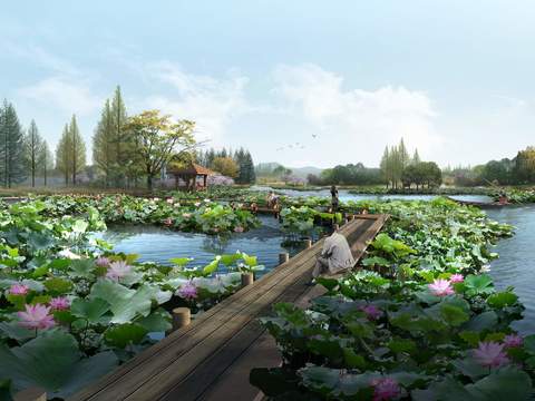 modern lotus wetland landscape psd