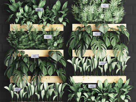 Modern green plant Wall