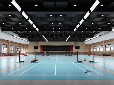 Modern Badminton Gymnasium