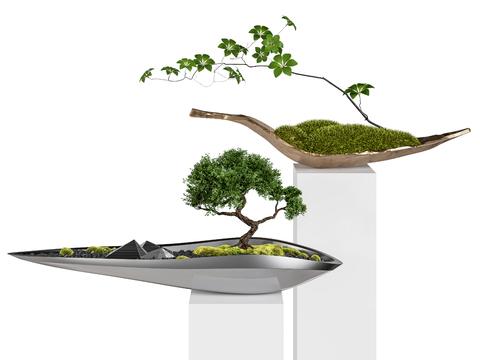 Neo-Chinese Style Bonsai Cutting Parts with Fresh Moss