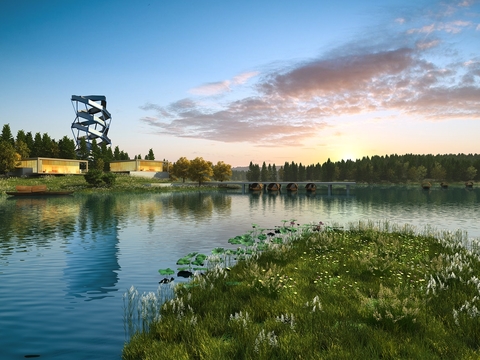 Modern Wetland Park Landscape