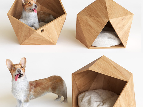 Modern Geometry Simple Kennel Puppy