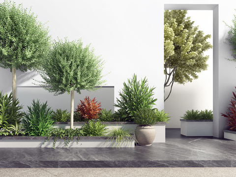 Modern Outdoor Green Plant