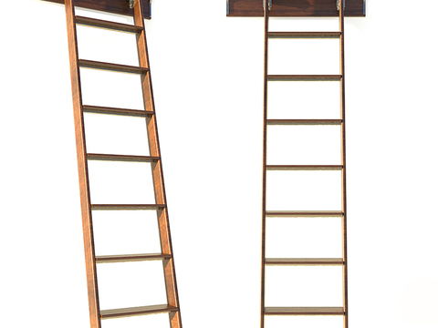 Modern Library Ladder Free